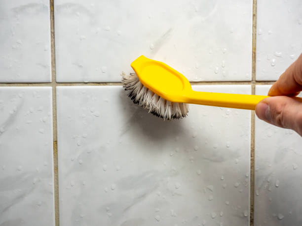 Certified Mold Removal in Veedersburg, IN