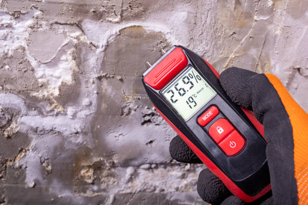 Best Affordable Mold Removal  in Veedersburg, IN