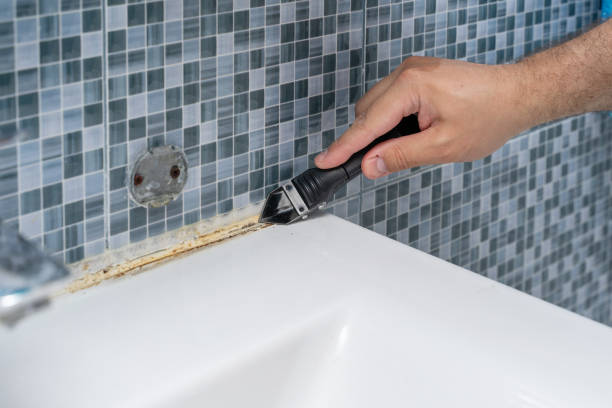 Best Best Mold Removal Companies  in Veedersburg, IN
